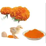 Marigold Oleoresin